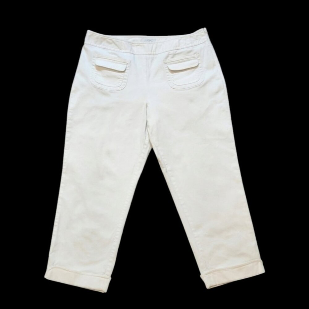 Ann Taylor LOFT Petite Pants